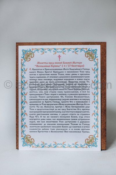 Icon of the Most Holy Theotokos Neopalima Kupina