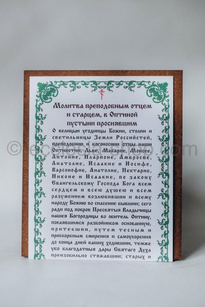 Icon of the Venerable Elders of Optina