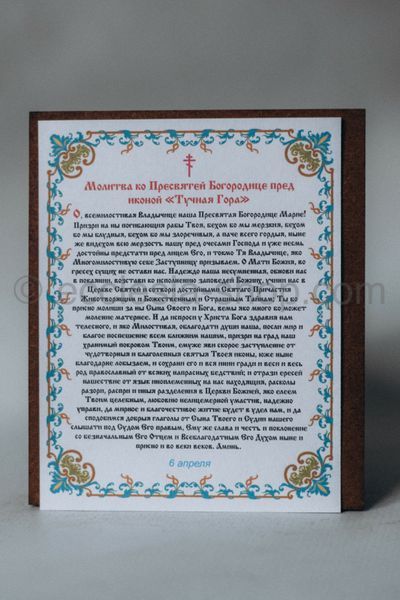 Икона Пресвятой Богородицы Тучная Гора ICON-BOHORODYTSYA-TUCHNA-HORA-MDF-12x14 фото